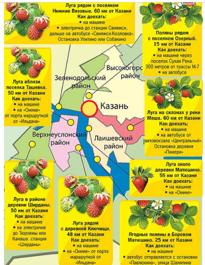 Авокадо где растет карта