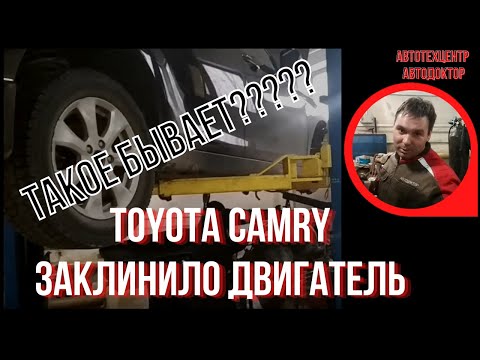 Заклинил двигатель триммера причины