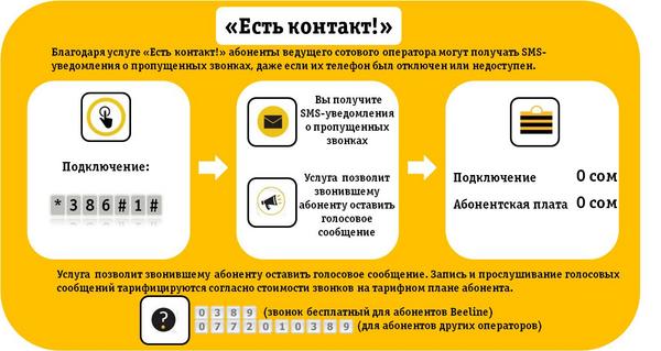 Какие услуги мы подразумеваем под услугами шпд билайн