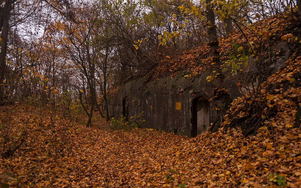 Форт 6 королева луиза калининград фото