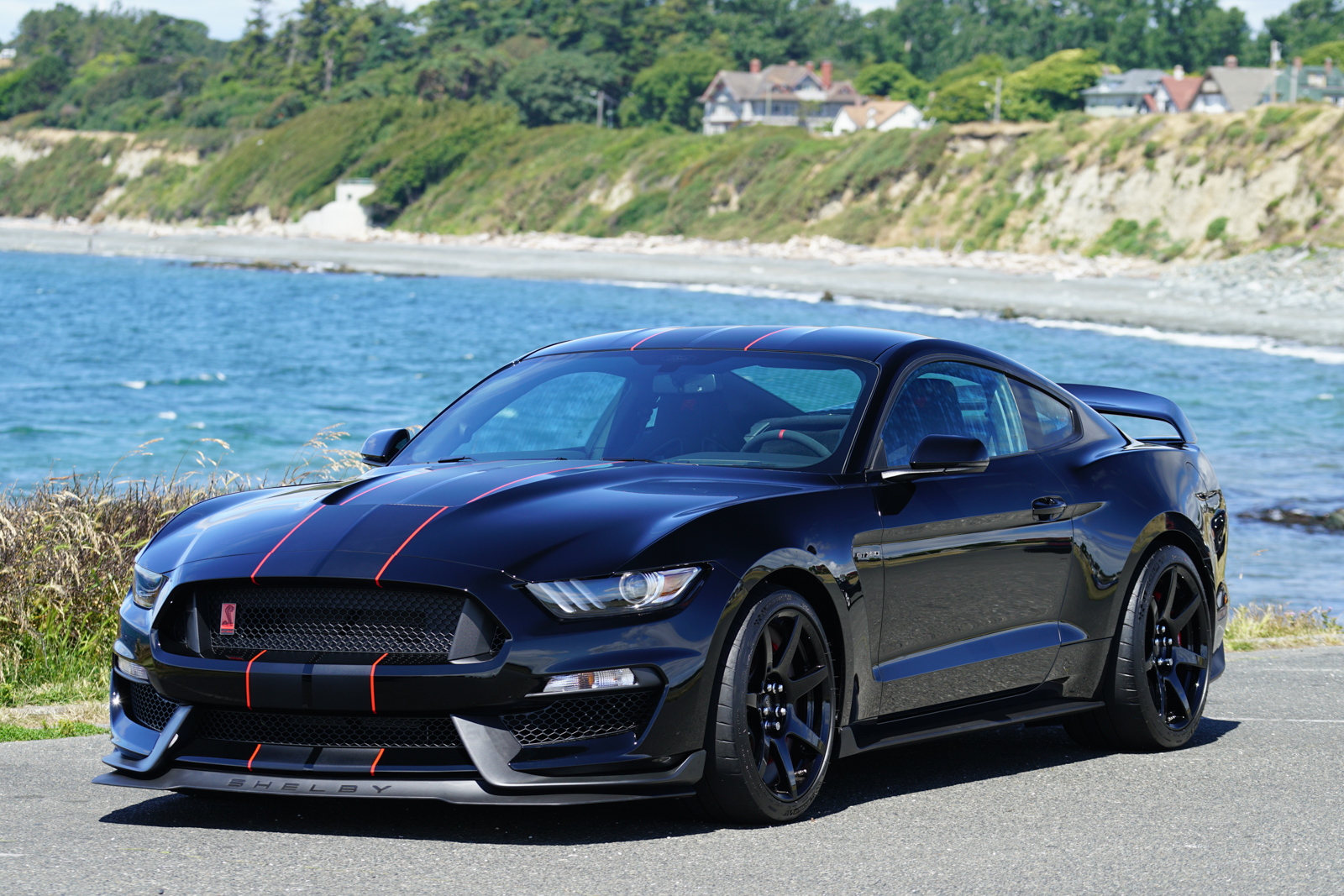 Ford Mustang Shelby gt350r 2017