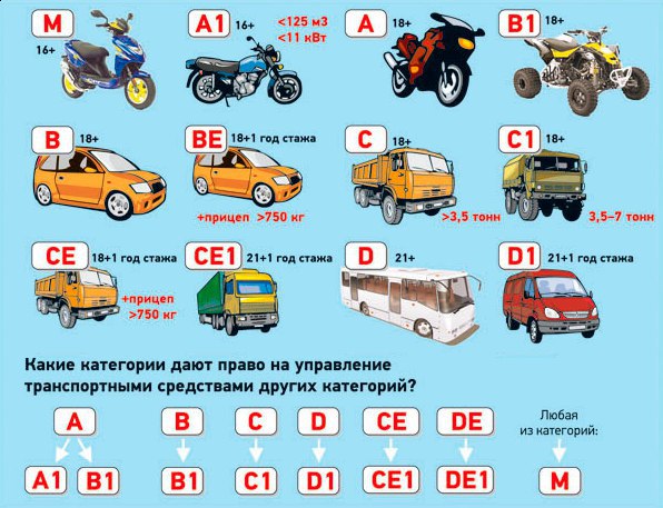 Какие есть транспортные средства