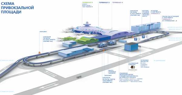 Схема аэропорта внуково прилет международных рейсов