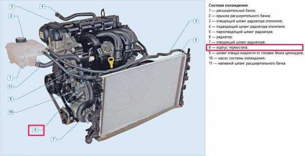Термозащита форд фокус 2